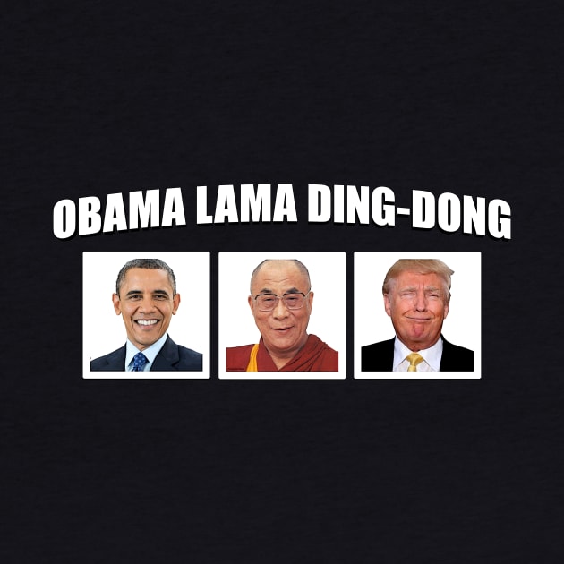 Obama Lama Ding-Dong by Irregulariteez